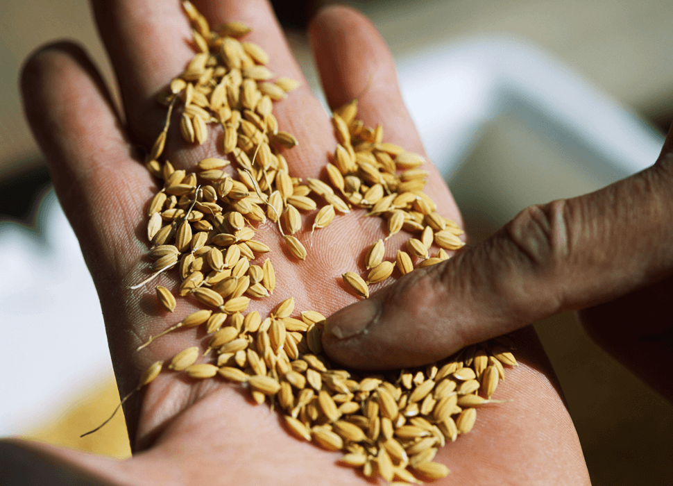 株式会社 村上米穀のこだわり